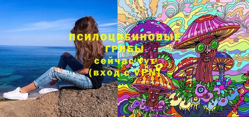 Псилоцибиновые грибы Magic Shrooms  купить наркотик  Болхов 